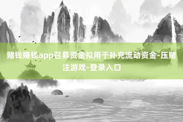 赌钱赚钱app召募资金拟用于补充流动资金-压赌注游戏-登录入口