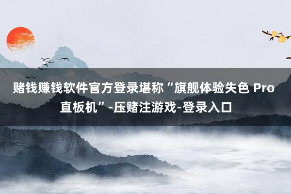 赌钱赚钱软件官方登录堪称“旗舰体验失色 Pro 直板机”-压赌注游戏-登录入口